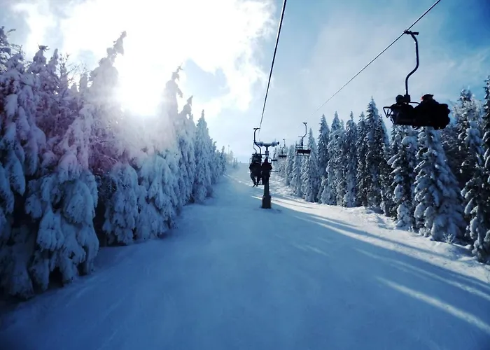 Am Hohen Bogen-16 By Interhome * 阿尔拉赫